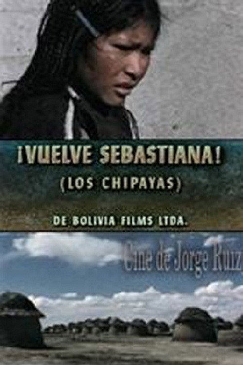 Come Back, Sebastiana poster