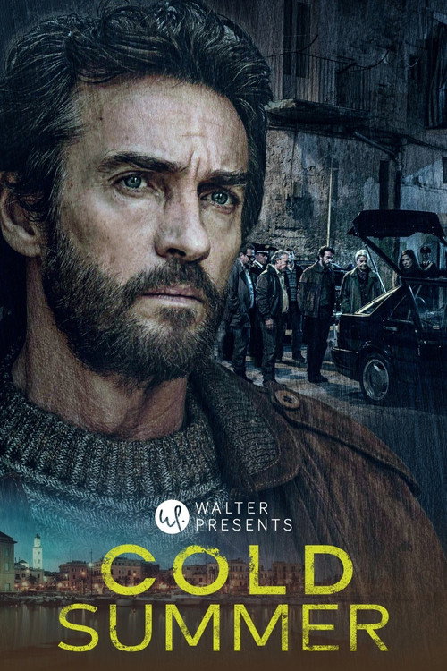 The Fenoglio Method – The Cold Summer poster
