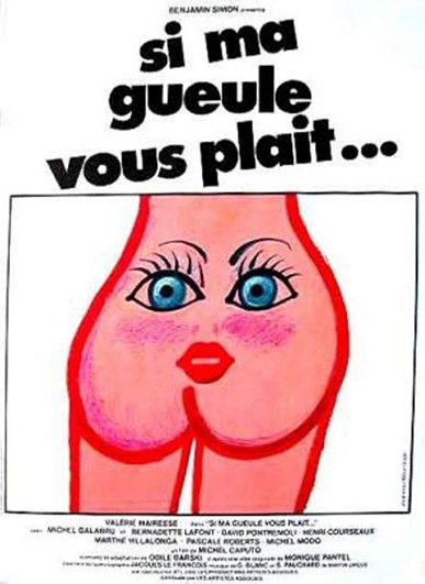 Si ma gueule vous plaît… poster