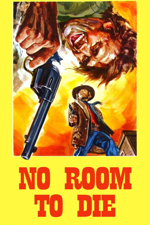 A Noose for Django poster