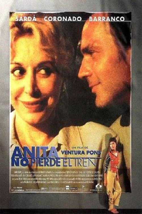 Anita Takes a Chance poster