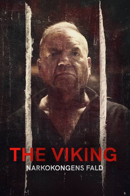 The Viking – Downfall of a Drug Lord poster