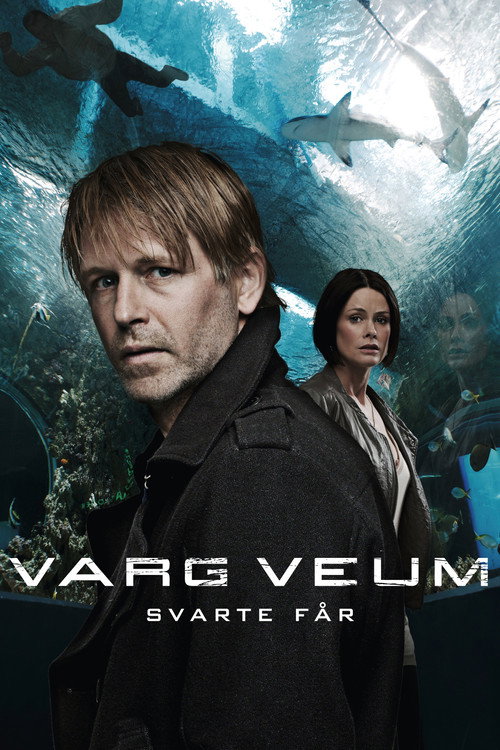 Varg Veum – Black Sheep poster