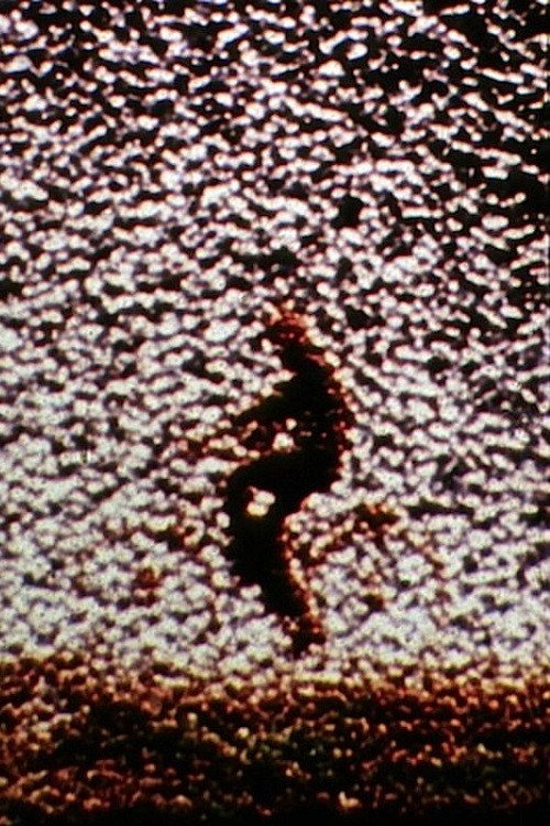Remains to Be Seen poster