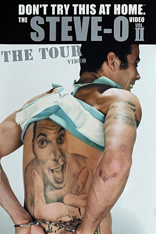 Don’t Try This at Home – The Steve-O Video Vol. 2: The Tour poster