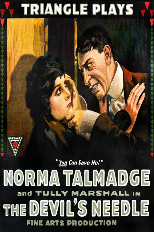 The Devil’s Needle poster