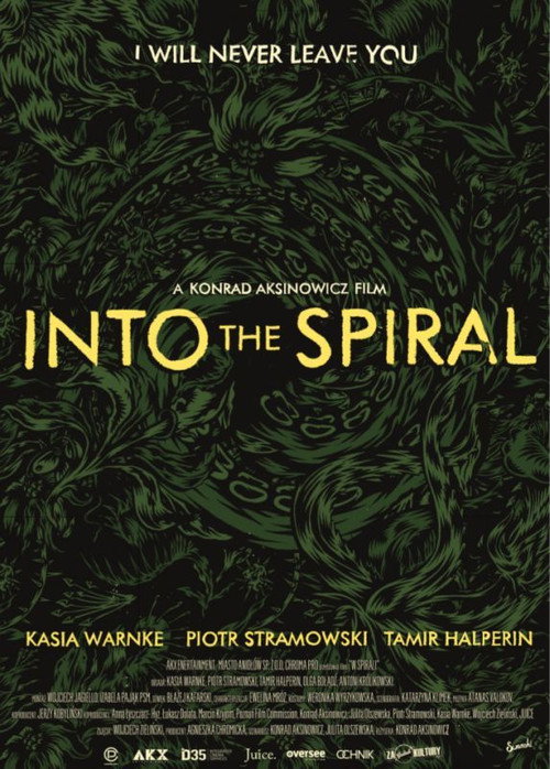 Into the Spiral poster