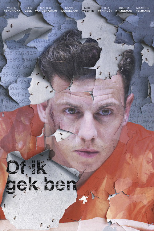 As If I’m Crazy poster