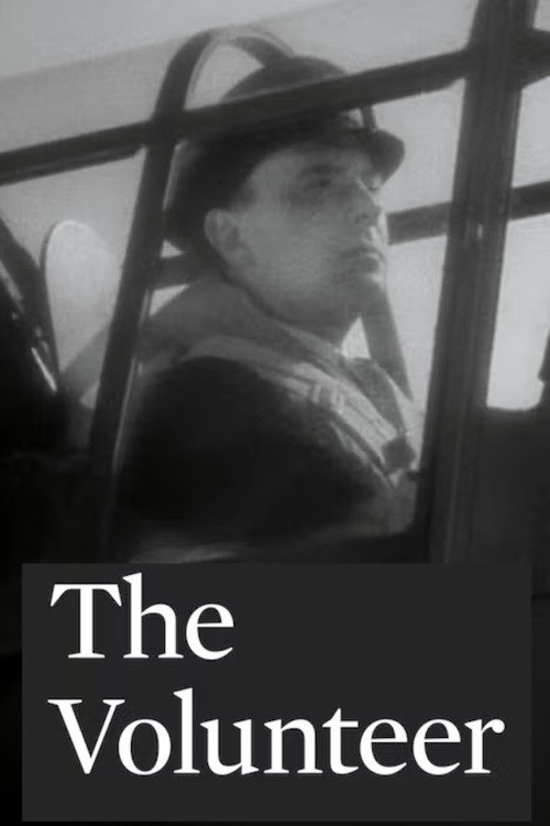 The Volunteer poster