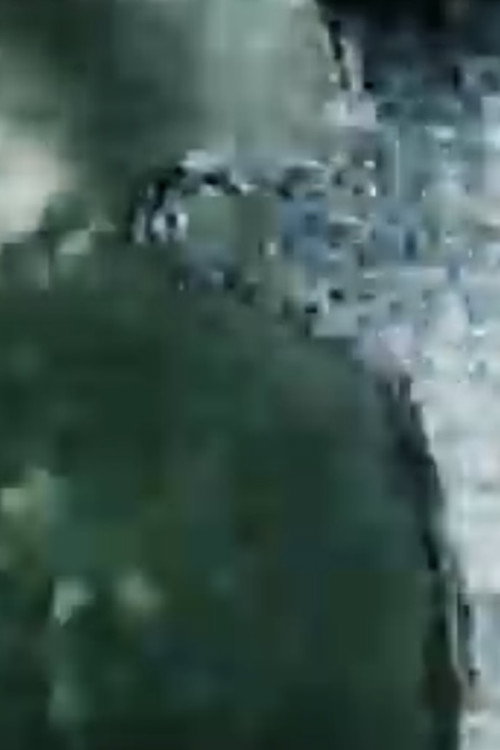 Man poster