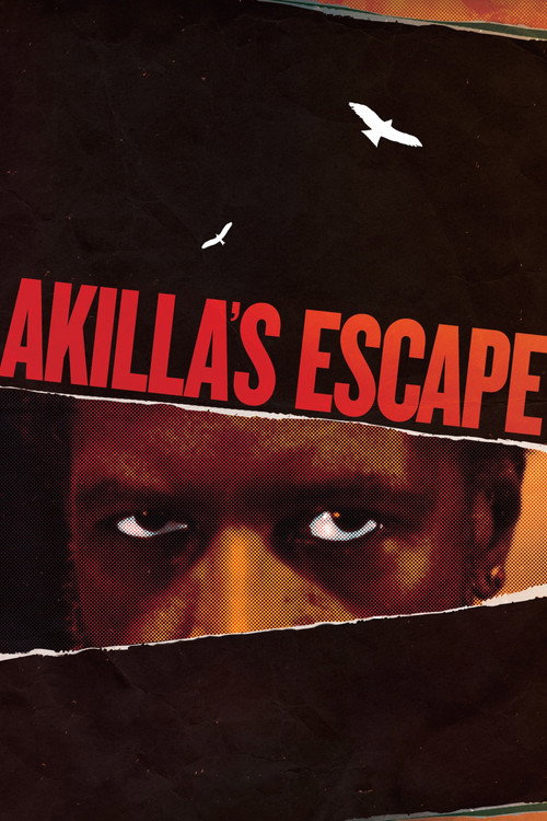 Akilla’s Escape poster