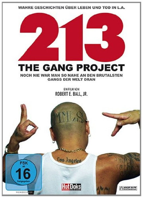 213 – The Gang Project poster