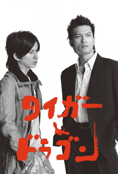 Tiger and Dragon poster