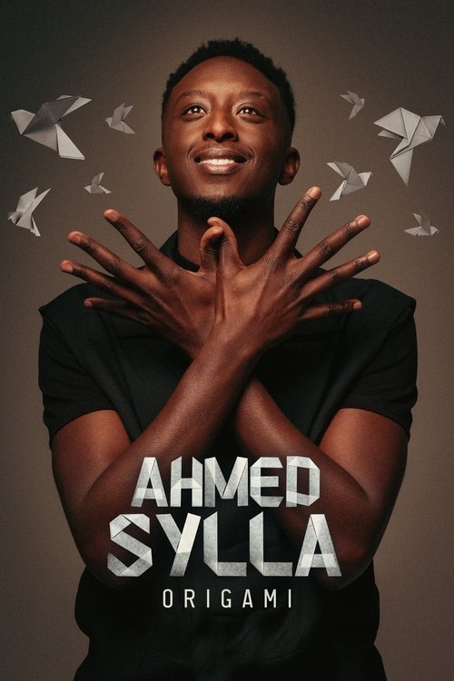 Ahmed Sylla – Origami poster