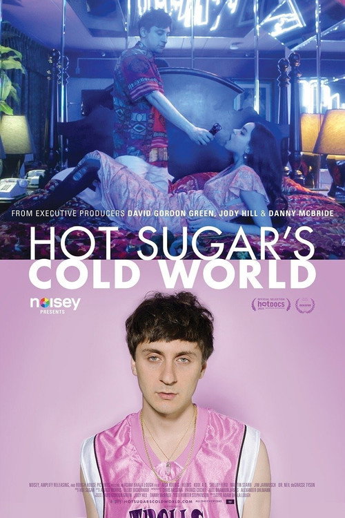Hot Sugar’s Cold World poster