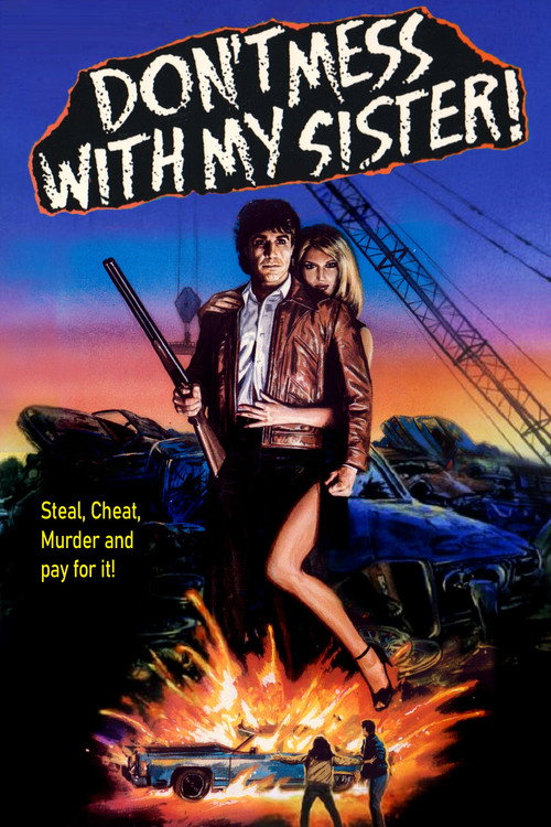 Don’t Mess with My Sister! poster