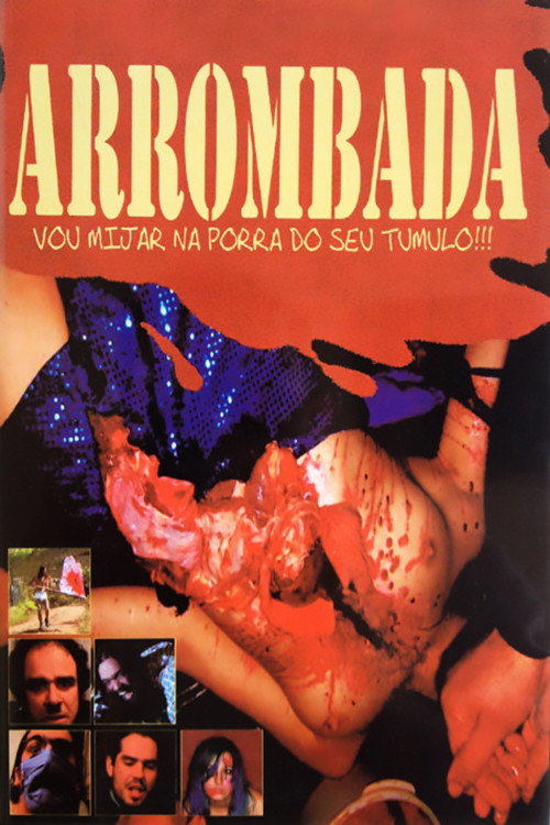 Arrombada – I’ll Piss On Your Fucking Grave!!! poster