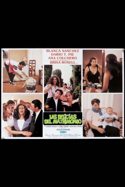 Las delicias del matrimonio poster