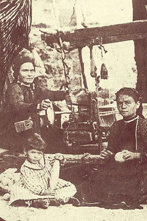 Wallachian Nomads poster