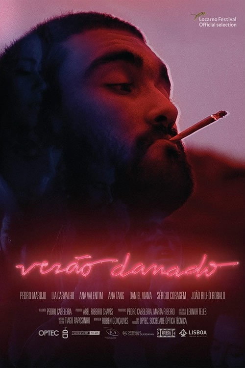Damned Summer poster