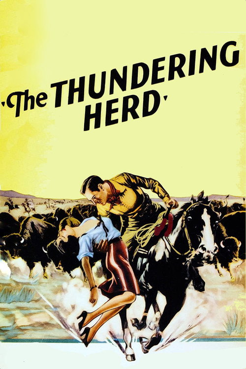 Buffalo Stampede poster