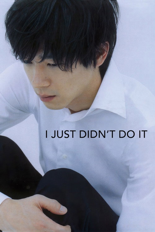 I Just Didn’t Do It poster