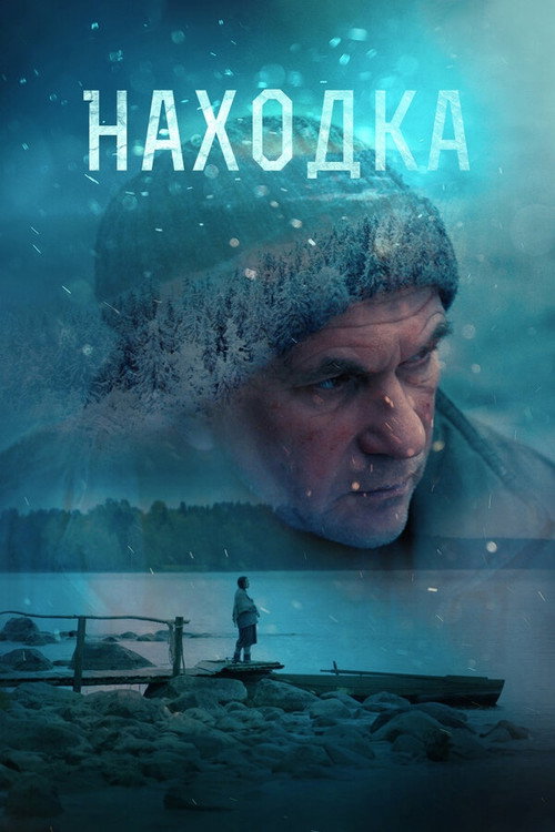 The Find poster