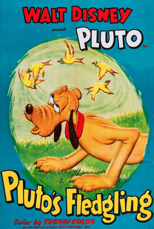 Pluto’s Fledgling poster