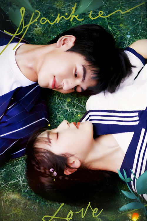 Sparkle Love poster