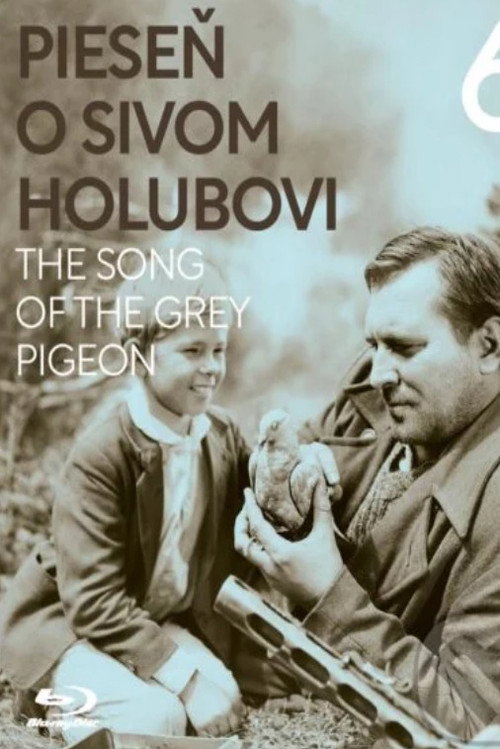 The Song of the Grey Pigeon poster