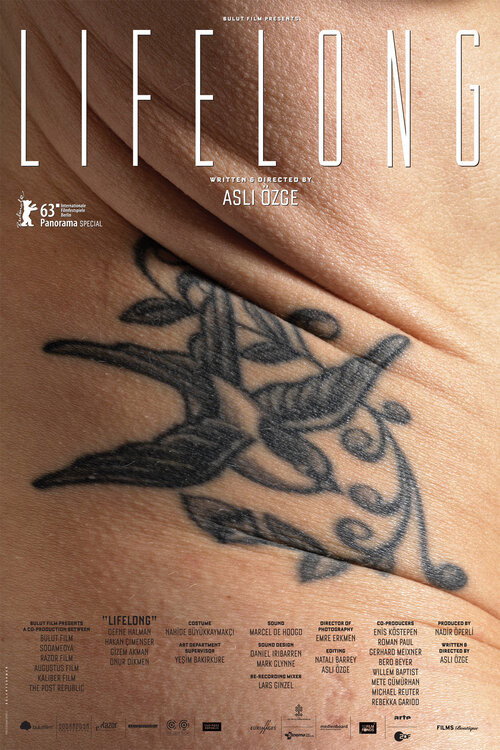 Lifelong poster