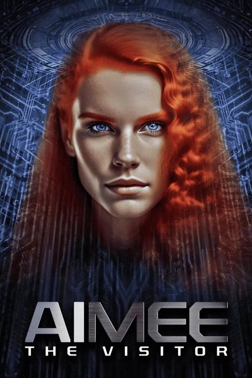 AIMEE. The Visitor poster