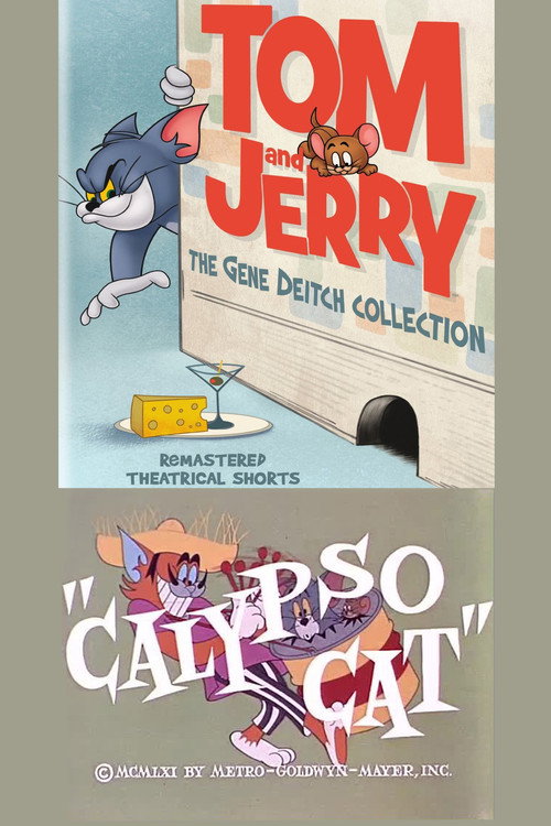 Calypso Cat poster