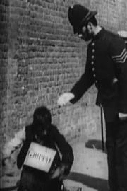 The Beggar’s Deceit poster