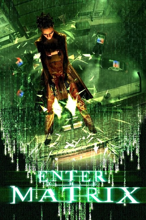 Making ‘Enter the Matrix’ poster
