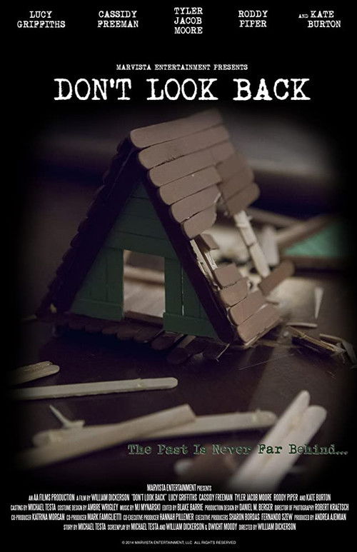 Don’t Look Back poster