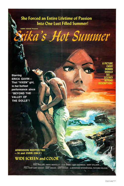 Erika’s Hot Summer poster