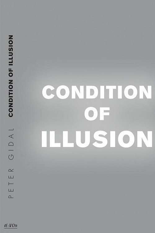 Condition of Illusion poster