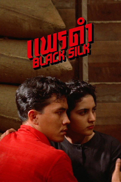 Black Silk poster
