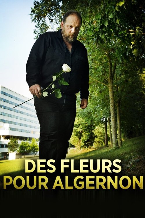 Flowers for Algernon poster
