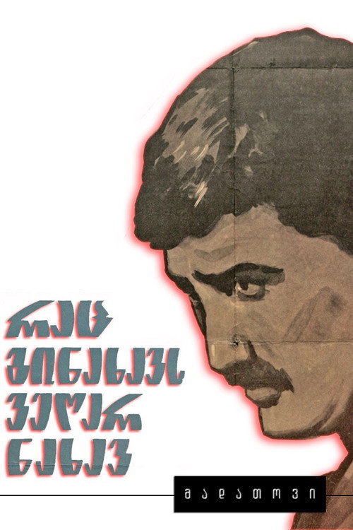 You Can’t See What You Have Seen poster