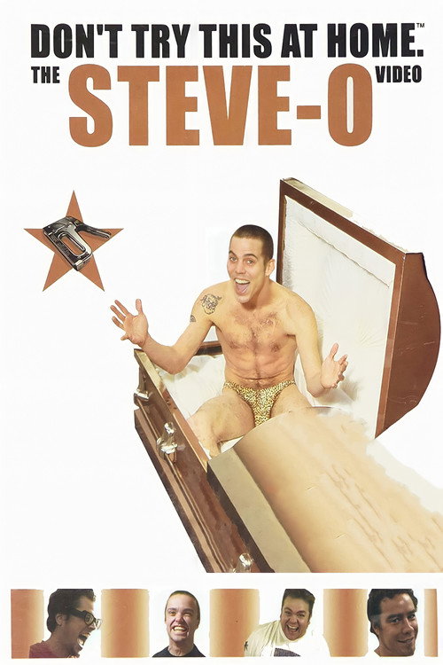 Don’t Try This at Home: The Steve-O Video poster