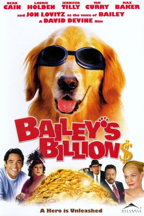 Bailey’s Billion$ poster
