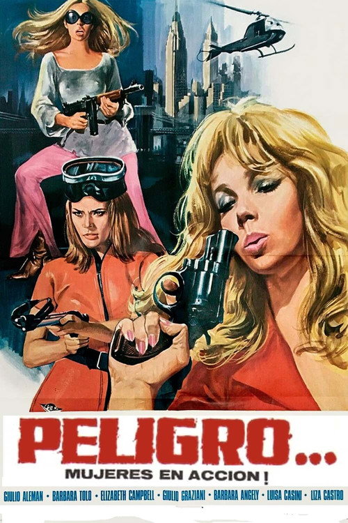 Danger…! Women in Action poster