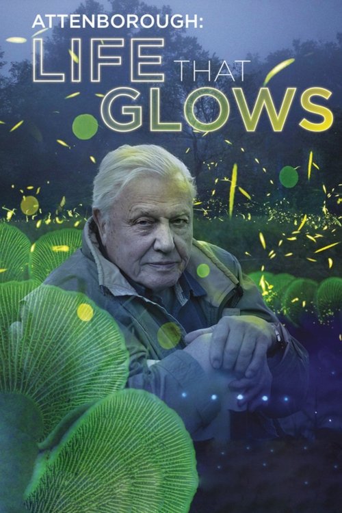 Attenborough’s Life That Glows poster