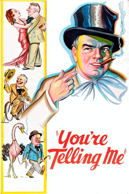 You’re Telling Me! poster