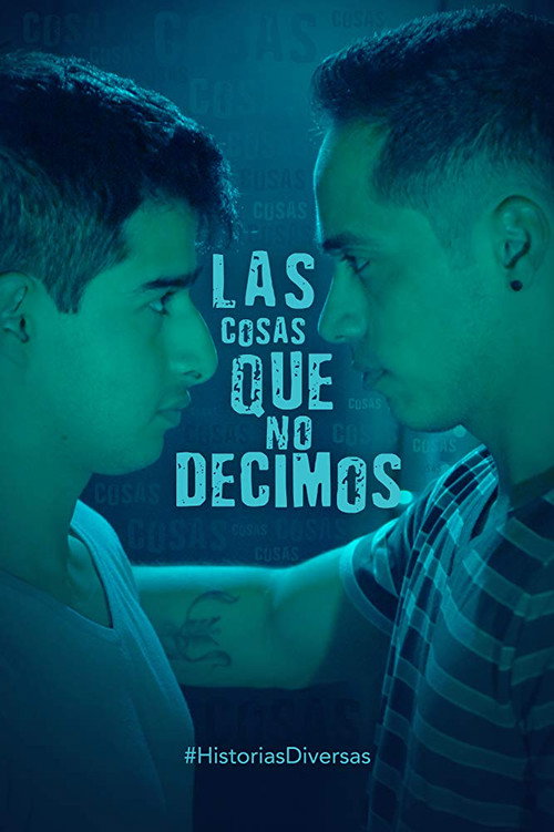 The Things We Don’t Say poster