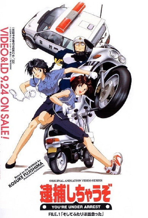 You’re Under Arrest poster