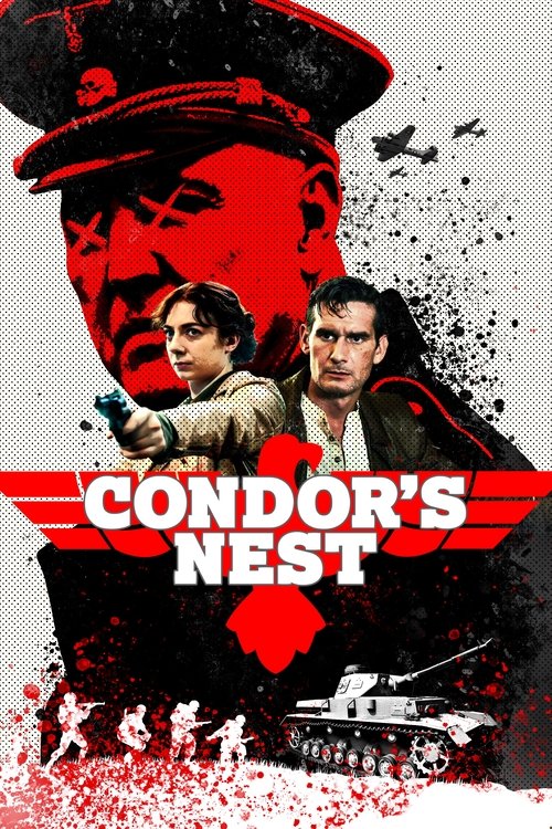 Condor’s Nest poster
