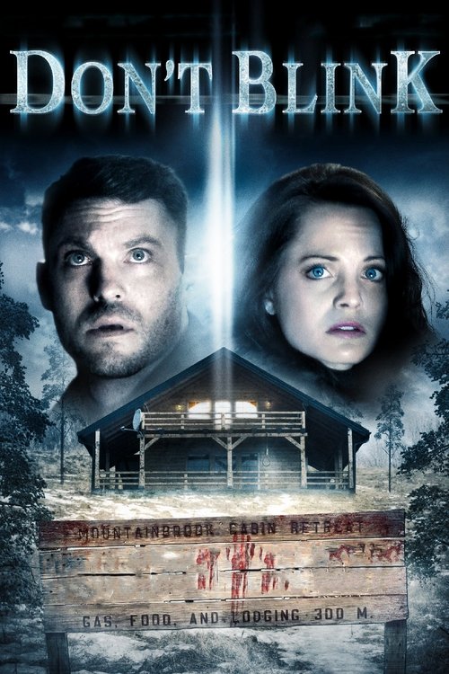 Don’t Blink poster